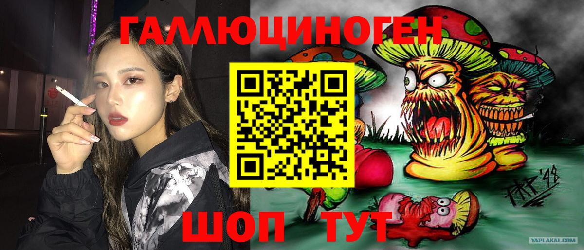 купить наркотики цена  Галлюциногенные грибы прущие грибы  Гулькевичи  Вход с VPN  Псилоцибиновые грибы MAGIC MUSHROOMS 