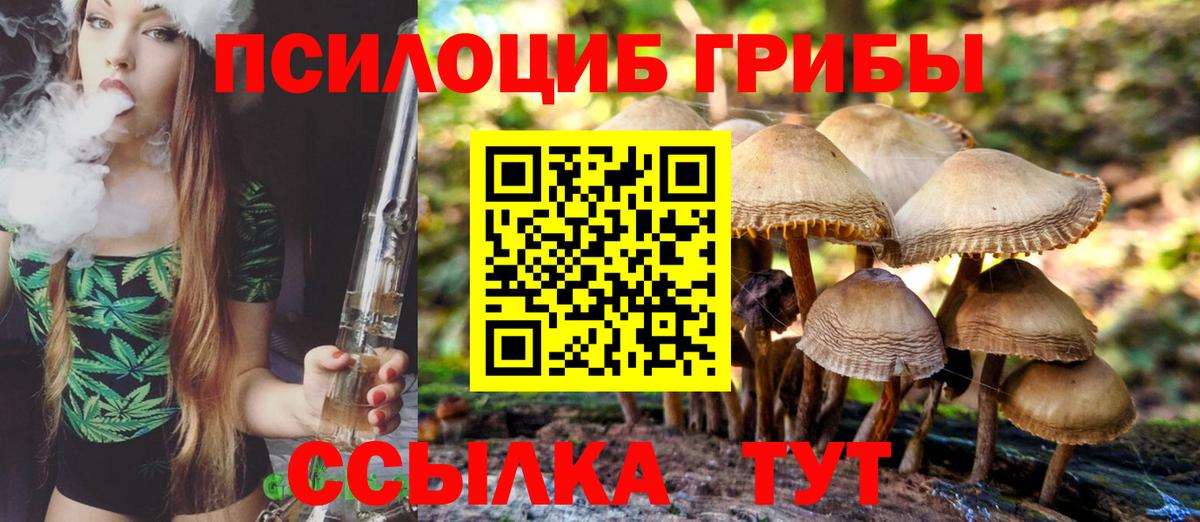 Галлюциногенные грибы прущие грибы Гулькевичи